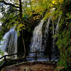 Meet your Posher, Carrie